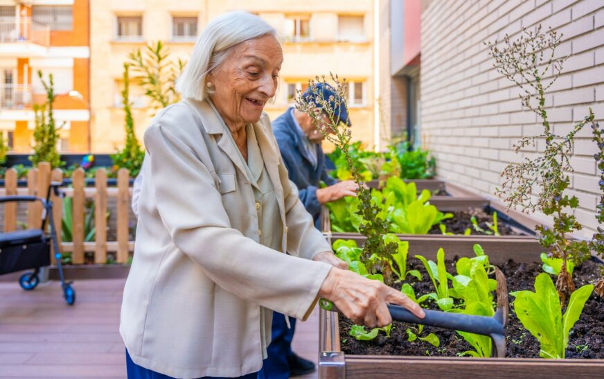 Senior woman planting lettuce in a garden in a geriatric